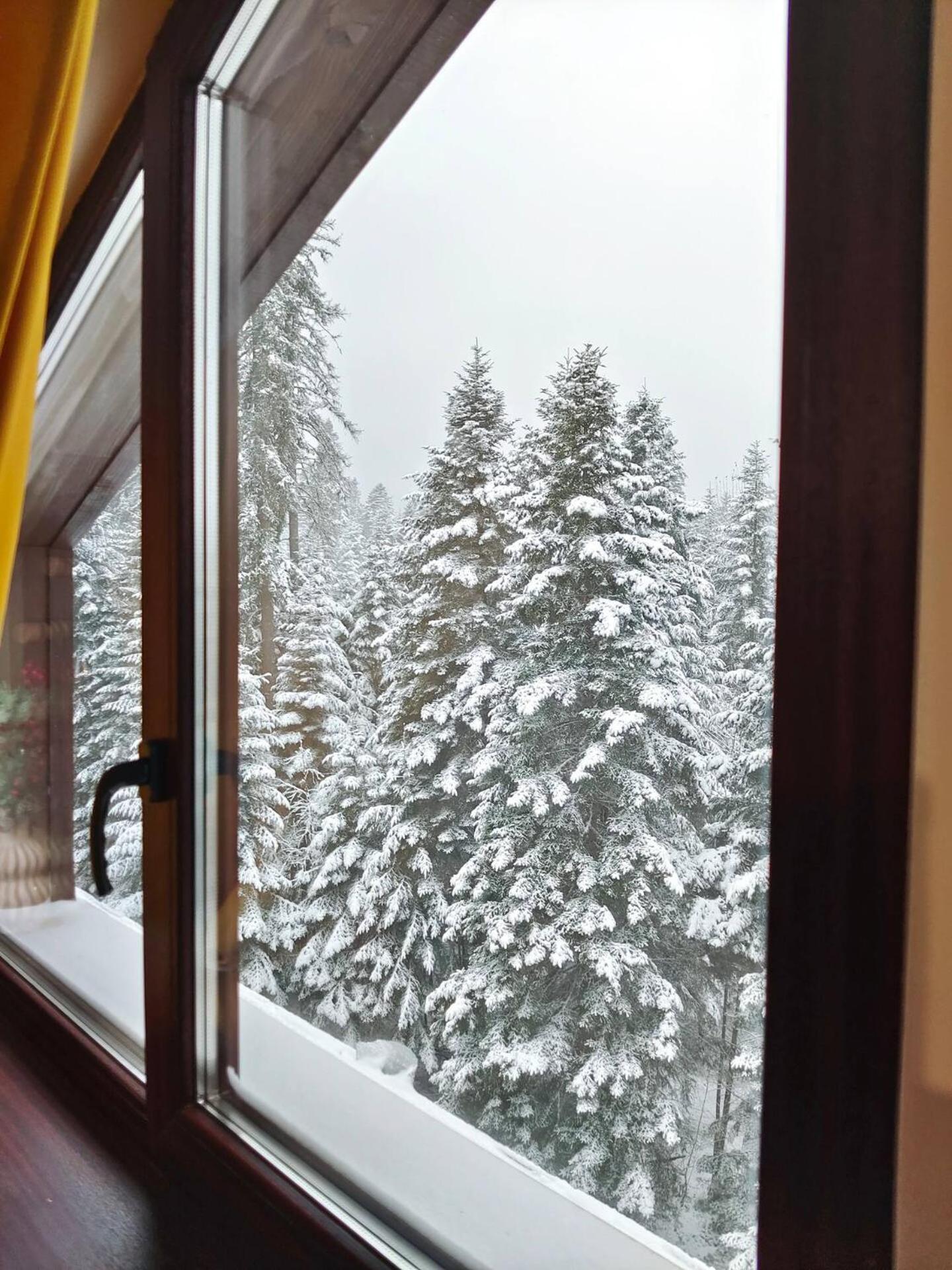 Borovets Dream Studio Екстериор снимка